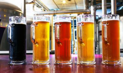 Münster Craft Beer Tasting
