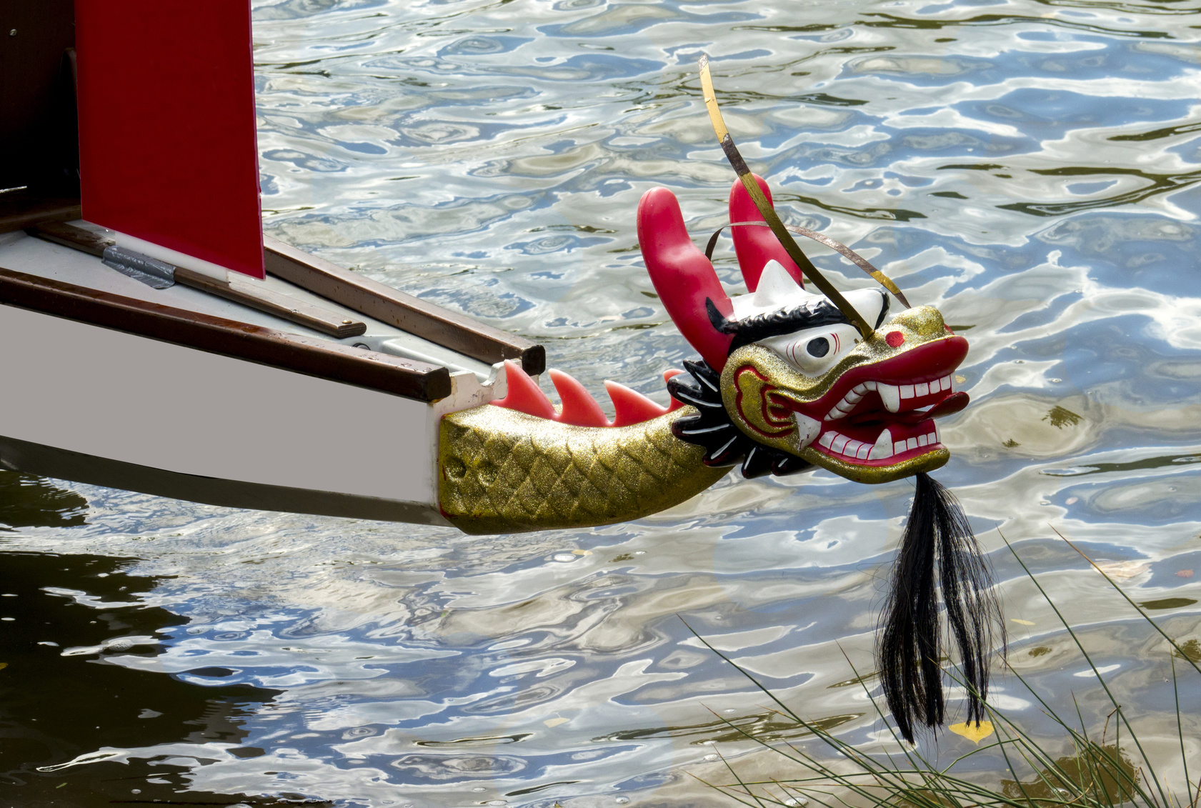 Bamberg Drachenboot fahren